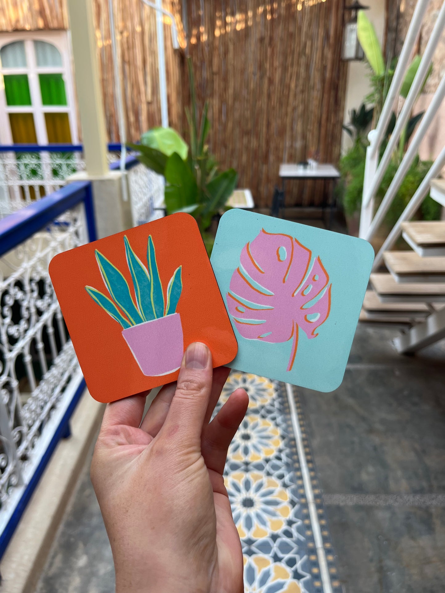 SNAKE PLANT COASTER