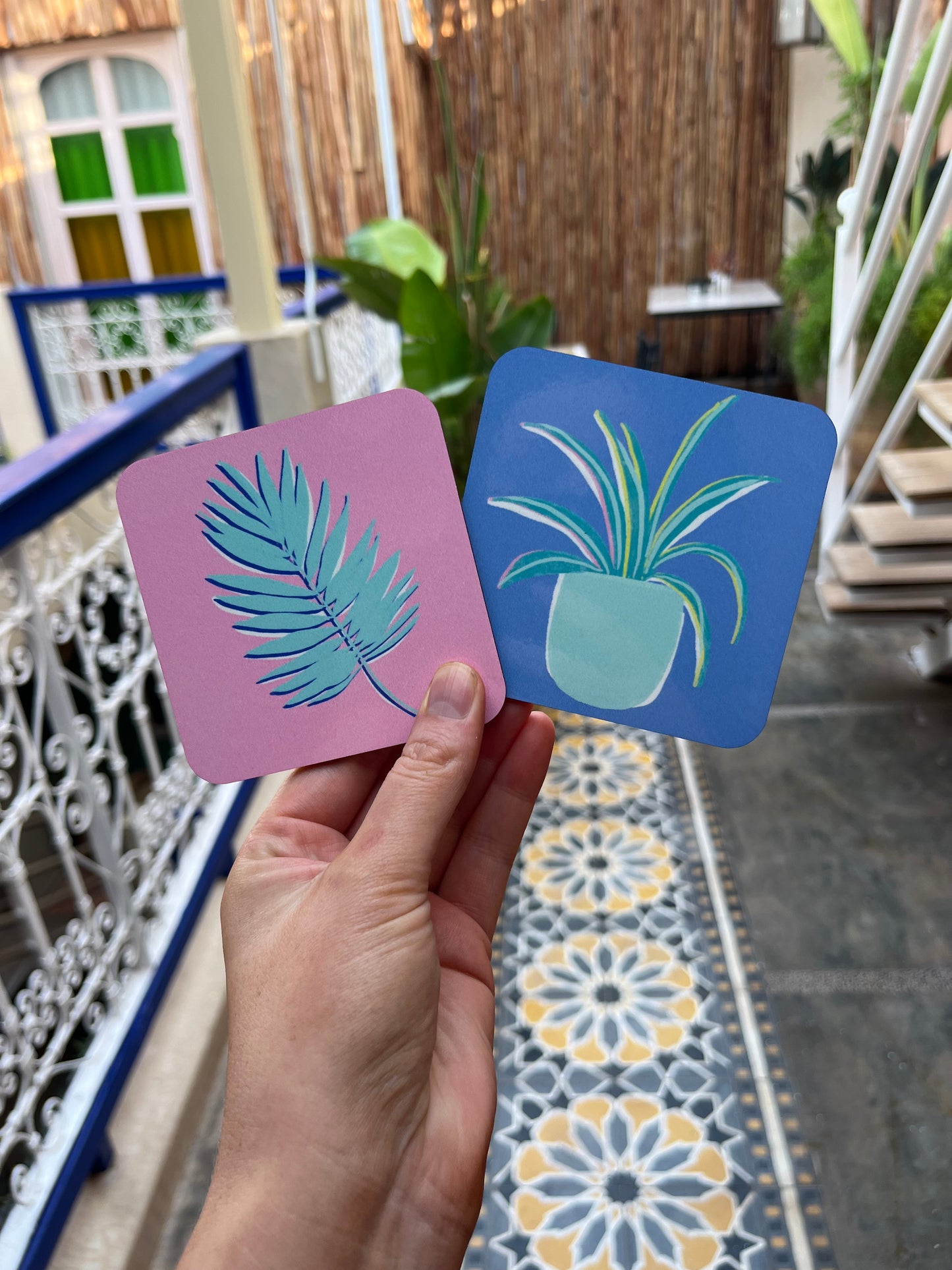 SPIDER PLANT COASTER
