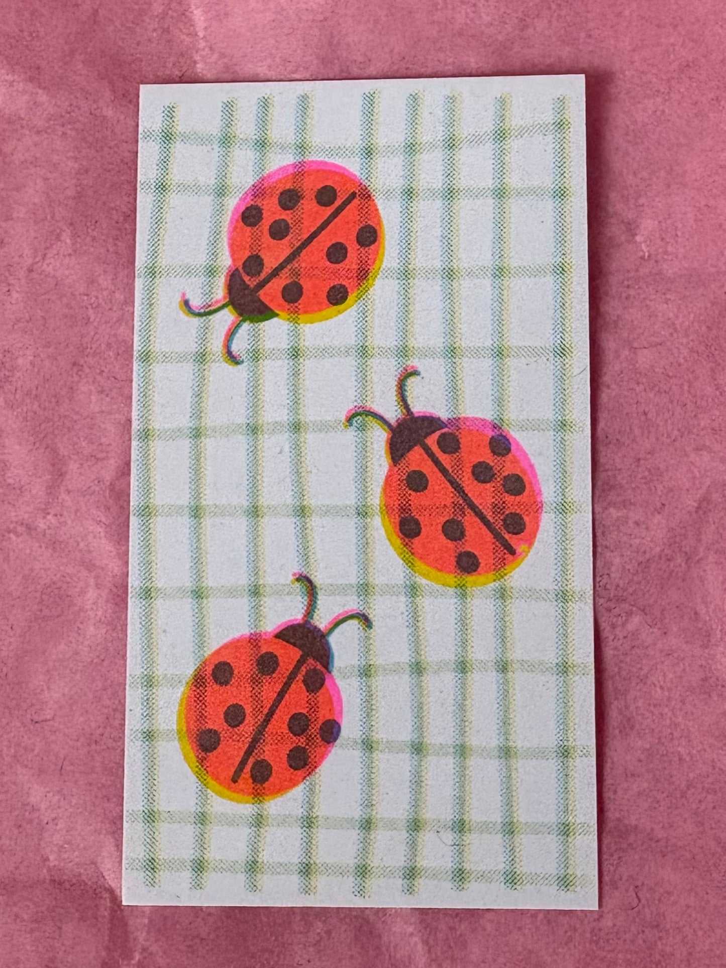 Ladybird