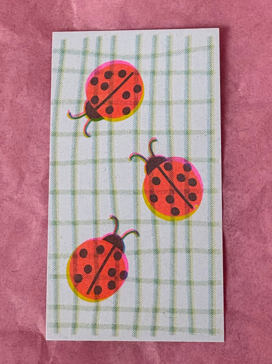 Ladybird
