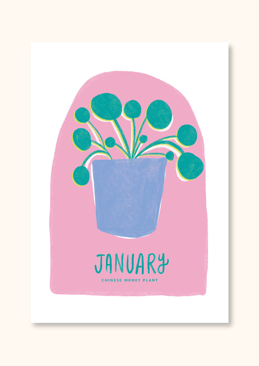 JANUARY