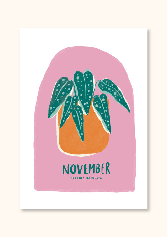 NOVEMBER